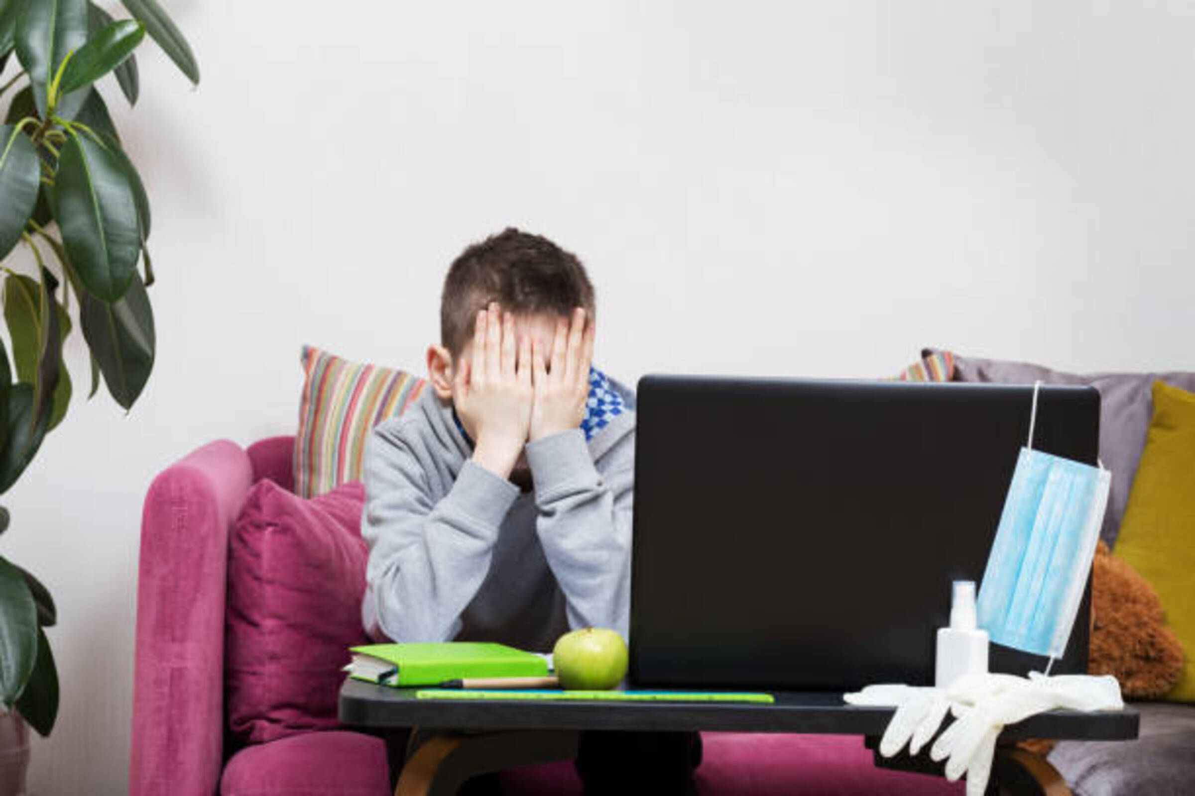 Distance learning may cause frustration and anxiety to students. 